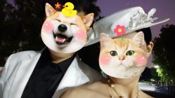 -CD视觉婚纱摄影