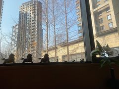 -梅间堂茶馆(绿地缤纷城店)