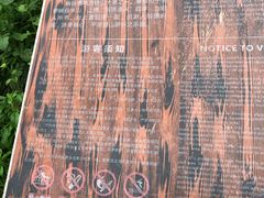 -铁山坪森林公园