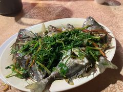 -揭阳钟记小食(福田新村店)