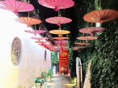 -鱼食饭稻·苏浙土菜17年老馆子(平江路店)