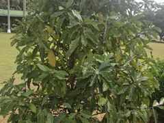 -侯臣咖啡文化村