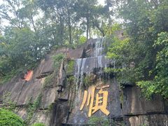 -三水森林公园