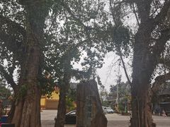 -西双版纳傣族园