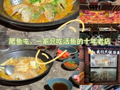 -肥鱼屯活鱼锅(惠工街店)
