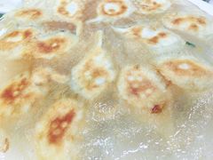 -添福来墨鱼饺子 · 海鲜东北菜(泡崖店)