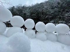 -西岭雪山大飞水景区
