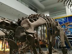 -中国地质大学逸夫博物馆