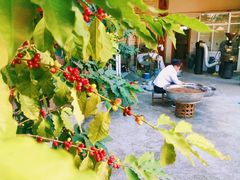 -后谷咖啡(建设巷店)