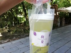-树夏(锦里店)