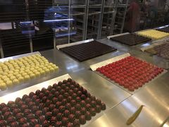 -歌斐颂巧克力小镇