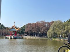 -金砂公园