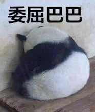 -微笑时刻照相馆·企业合影·商务外拍(北京五道口店)