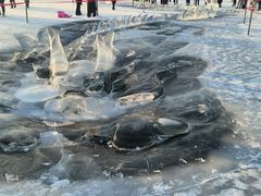 -长春市南湖公园