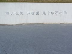 -荷兰花海