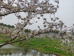 -宜兴龙背山森林公园