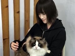 -青奢宠物·青奢猫舍