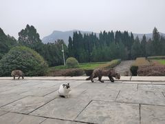 -四门塔风景区