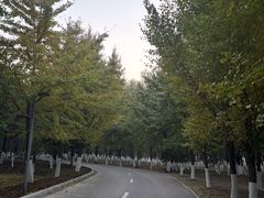 -长白岛森林公园