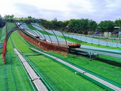 -北京鹿世界主题园