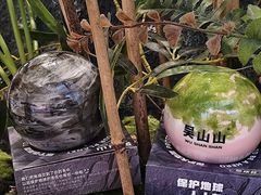 -吴山山·椰子酸奶(天河南店)