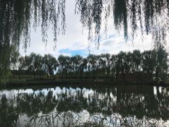 -安德鲁户外烧烤帐篷营地(马泉营店)