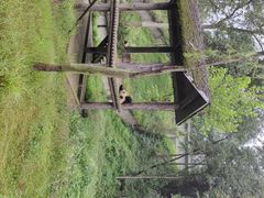 -中国大熊猫保护研究中心雅安碧峰峡基地