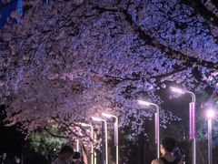 -浙江大学(紫金港校区)