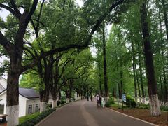 -食膳公园包子铺(烈士公园店)