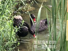 -茶肆(仙林店)