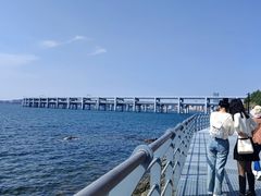 -星海湾跨海大桥