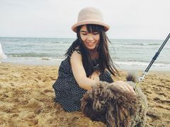 -海滨浴场
