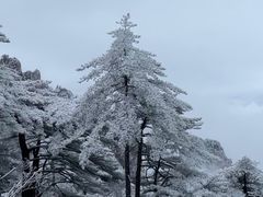 -黄山风景区