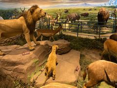 -陕西自然博物馆