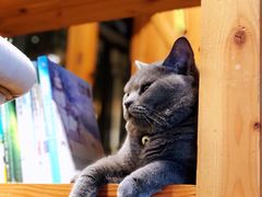 -么么咖啡(燕郊店)