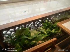 -四道菜·福建菜馆(万家广场店)