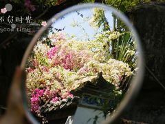 -深圳国际园林花卉博览园