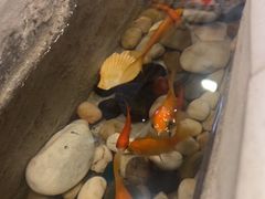 -申鲜大师·简餐(科技生态园店)