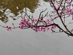 -郑和公园