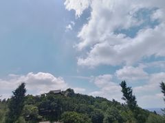 -冶父山国家森林公园