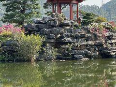 -顺峰山公园
