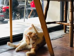 -251#coffee roasters(沿河东路店)