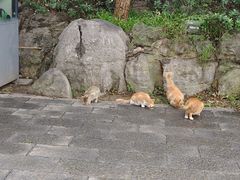 -云龙山