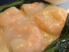 -金龙寨(龙城路店)