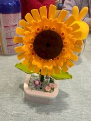 -满天星母婴月子中心(湖塘馆)