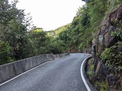 -广州白江湖森林公园