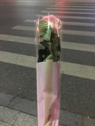 -百丽雅QueenSpa双美中心