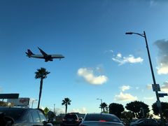 -In-N-Out Burger(LAX)