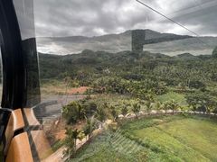 -呀诺达热带雨林