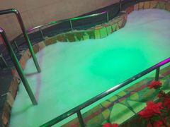 -兴芮温泉度假区